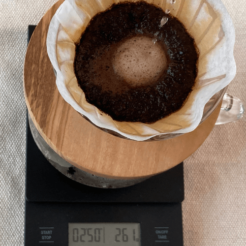 産地を旅するコーヒー グァテマラ 4投目